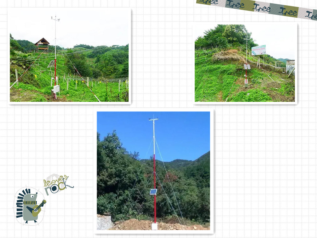 森林氣象站如何預防秋冬季節(jié)的森林火災發(fā)生(圖1)