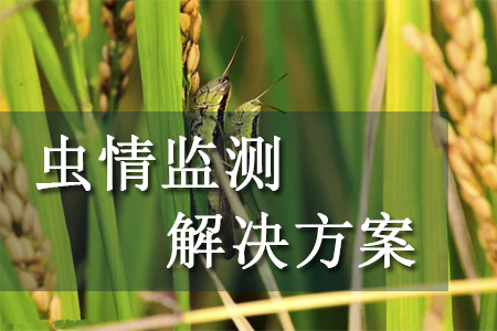 蟲情監(jiān)測(cè)解決方案