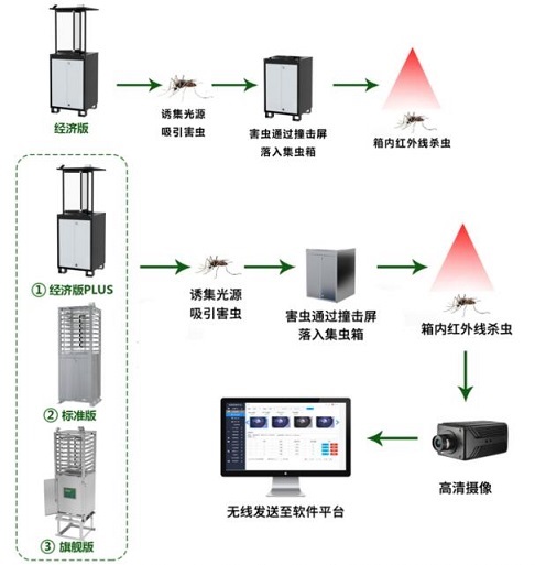 蟲情監測解決方案(圖1)