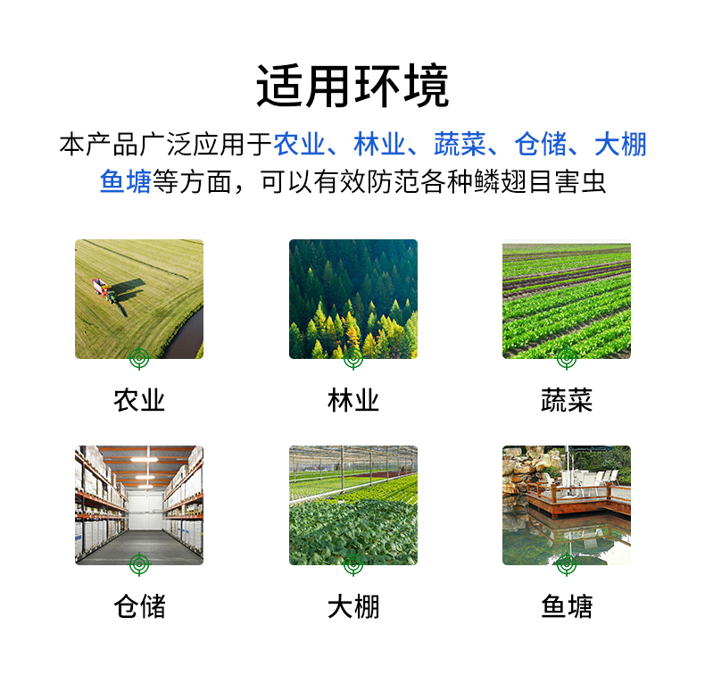 頻震式殺蟲燈(圖13)