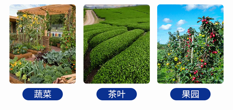 全自動孢子捕捉儀(圖33)